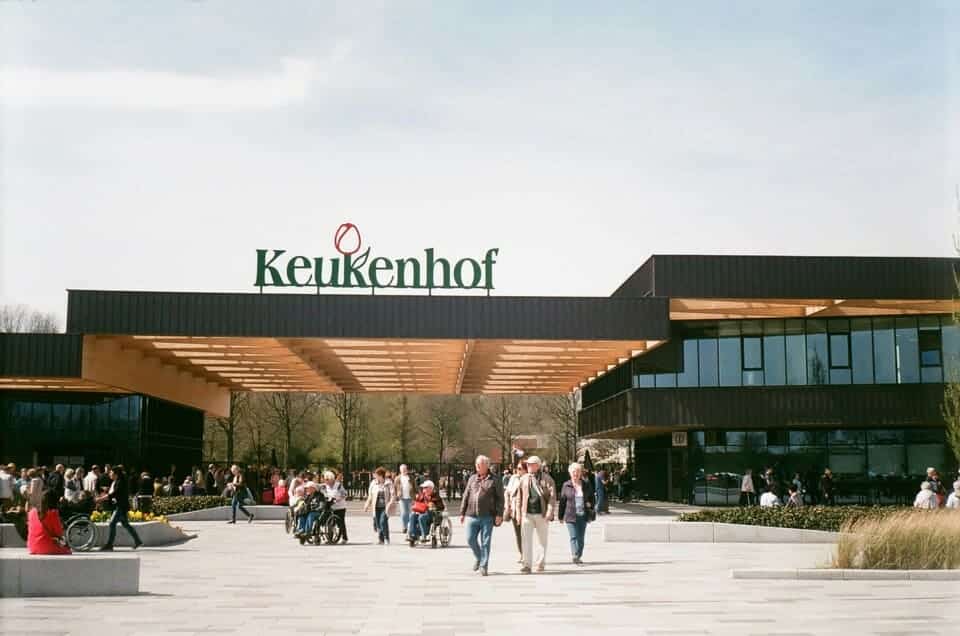 keukenhof kierros amsterdam ()